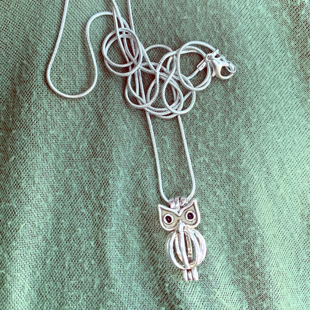 Silver Owl Cage Necklace
